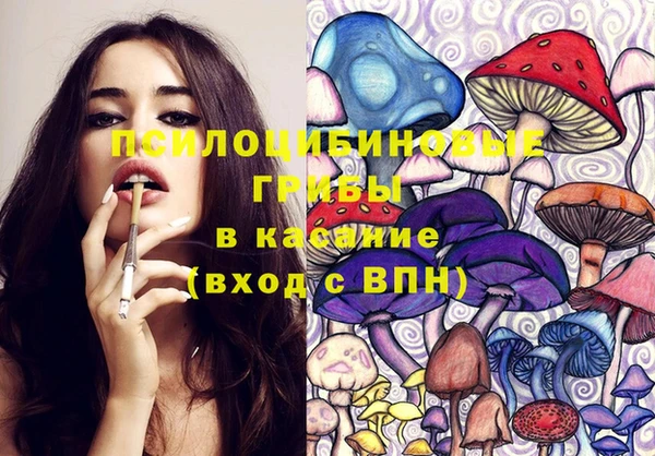 прущие крисы Алзамай